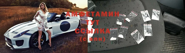 амф Зеленокумск