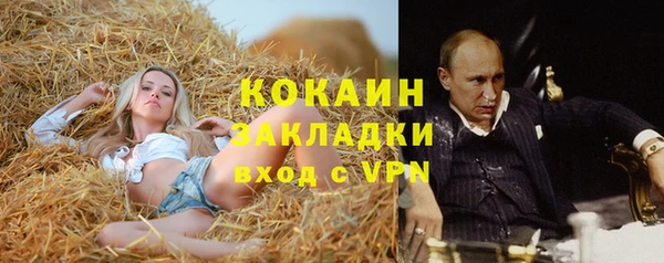 амф Зеленокумск