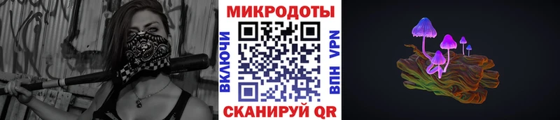 Купить закладки  Курчалой  Галлюциногенные грибы Psilocybine cubensis 